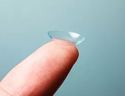 fortnightly contact lens